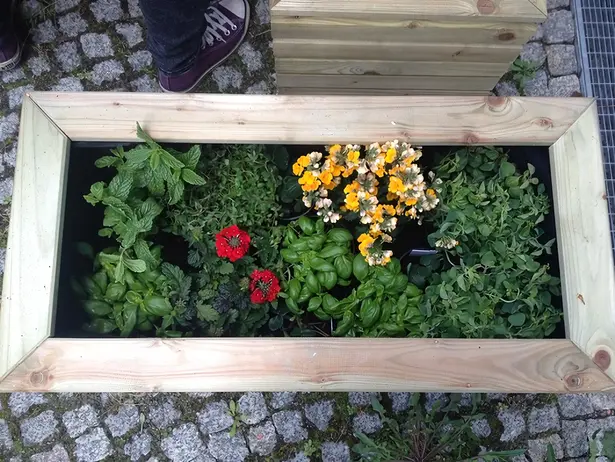 Gardening in the office? Why not!